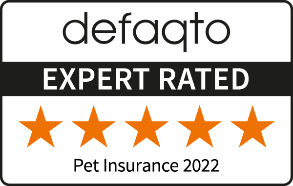 Defaqto 5 star rating 2021 image